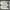 Nike low photo 5