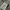 Moncler down puffer jacket photo 7