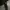 Jaket puffer alpha industries x mastermind down parka jacket photo 7