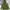 Jacket Milytary Canvas Parka Army Lipiy ziggy photo 1