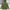 Jacket Milytary Canvas Parka Army Lipiy ziggy photo 2