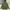 Jacket Milytary Canvas Parka Army Lipiy Ziggy