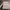 Kaos avirex army longsleeve photo 2