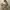 Robe Brand Cutton on photo 1