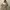 Robe Brand Cutton On