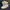 Nike Air Jordan Streetwear Y2K Sneakers Pria Gold White