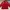Tracktop Jacket Fuerza Red Men photo 1