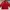 Tracktop Jacket Fuerza Red Men