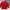 Tracktop Jacket Fuerza Red Men photo 4