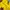 Vintage Windbreaker Pria yellow black photo 6