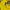 Vintage Windbreaker Pria yellow black photo 8
