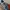 Nike Air Force 1 Low '07 Retro color photo 3