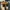 Nike Air Jordan Taxi Low photo 4