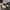 Nike Air Jordan Taxi Low photo 2