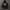 Hoodie zipper stussy photo 1