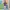 Streetwear Y2K Casual shirt Pria multicolor photo 2