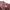GU Minimalist Sweater Pria brown photo 3