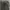 Qualite japan bootcut trousers  photo 3