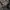 Qualite japan bootcut trousers  photo 4