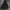 Converse Streetwear Skater Hoody Pria black photo 1