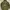 Pandiesta N-3B Japan Military Jacket | Jacker Military | Jac photo 2