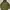 Pandiesta N-3B Japan Military Jacket | Jacker Military | Jac