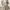 one set (impor singapore) katun linen (3 items) photo 3