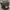 Authentic Coach sling bag “LOVE” tuh photo 5