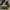 Sepatu adidas terrex agravic flow 2 running shoes photo 4