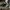 Sepatu adidas terrex agravic flow 2 running shoes photo 1