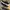 Sepatu adidas terrex agravic flow 2 running shoes photo 3