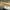 Sepatu adidas terrex agravic flow 2 running shoes photo 6