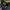 Sepatu adidas terrex agravic flow 2 running shoes photo 7