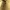 Sepatu converse geo forma chuck 70s LS tan photo 7