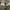 Sepatu converse geo forma chuck 70s LS tan photo 6