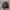 The North Face Streetwear Hat Pria Burgundy