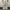 BAGGY JEANS CARHARTT DOUBLEKNEE CARPENTER STRIPE photo 3