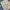 BAGGY JEANS CARHARTT DOUBLEKNEE CARPENTER STRIPE photo 7