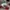 Nike Cortez Red White (2024) photo 1