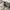 Converse Chuck Taylor All Star 70S Hi Sepia Stone Non Egret photo 7