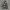 UNIQLO X STAR WARS DOWN JACKET ANAK FUL PRINT ANAK