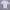 Tracktop ellese tc tracksuit not stussy Adidas nike  photo 1