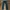 DC Dcshoecousa Denim Jeans Pants Celana photo 2