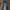 NBDN Selvedge Denim Jeans Pants Celana