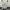 BAGGY JEANS by 66GIRLS photo 3