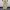 BAGGY PANTS by CROCODILE photo 5
