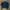 Devilock Japan Selvedge Type II Trucker Denim Jeans Jacket