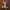 MMY Maison Mihara Yasuhiro Blakey Sneaker Shoes Sepatu Fashi photo 3