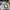 Adidas Streetwear Sportswear Track jacket Pria multicolor white photo 6