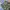 JORTS CARGO CAMMO photo 6